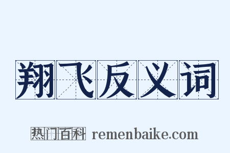 翔飞反义词是什么意思的图片